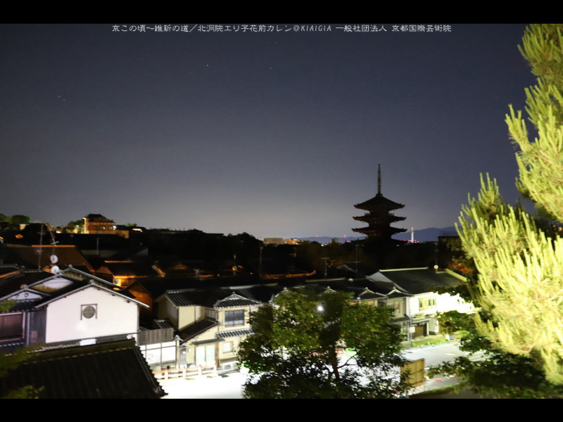 八坂の塔夜景